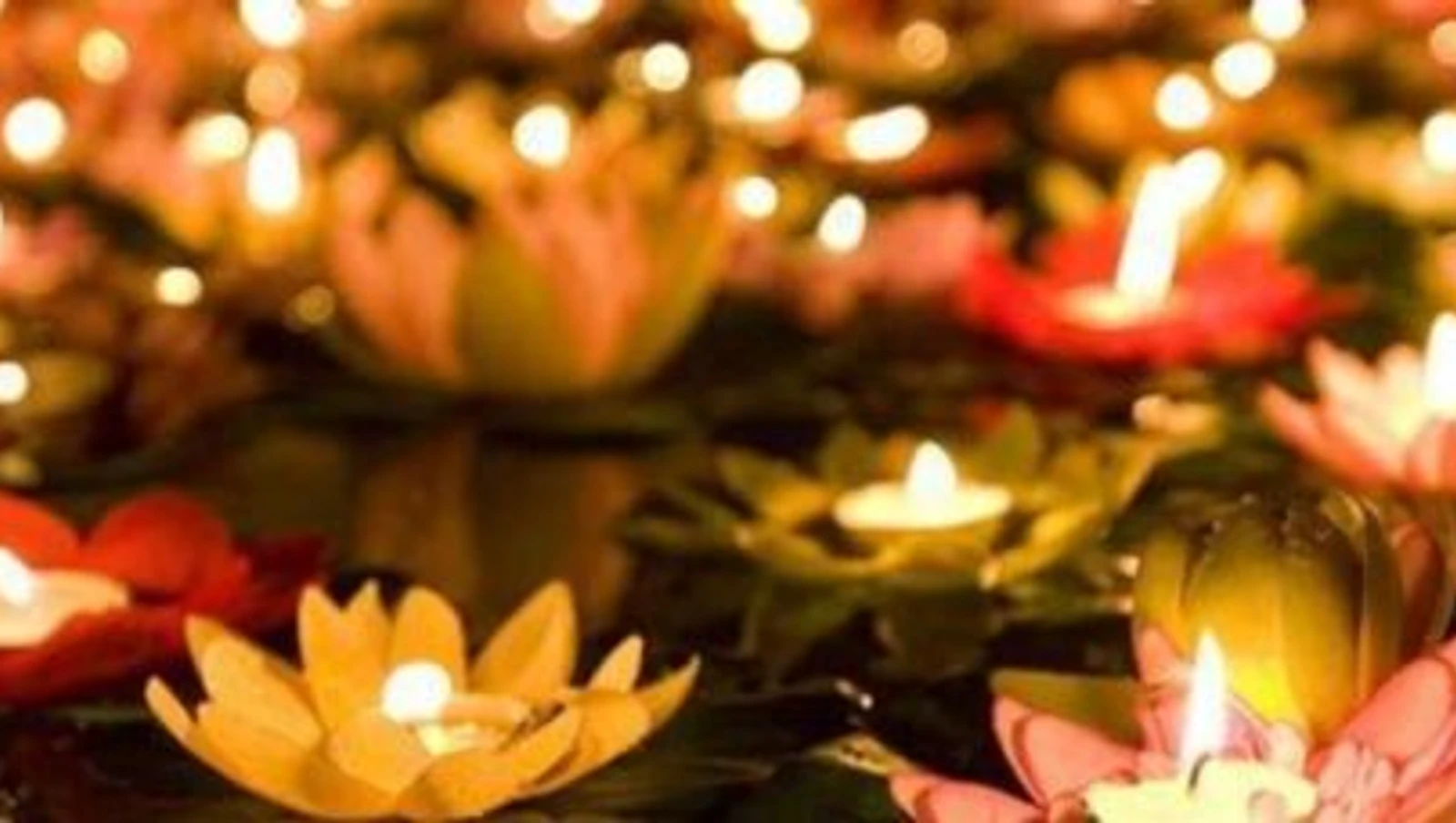 Newsletter décembre 2020