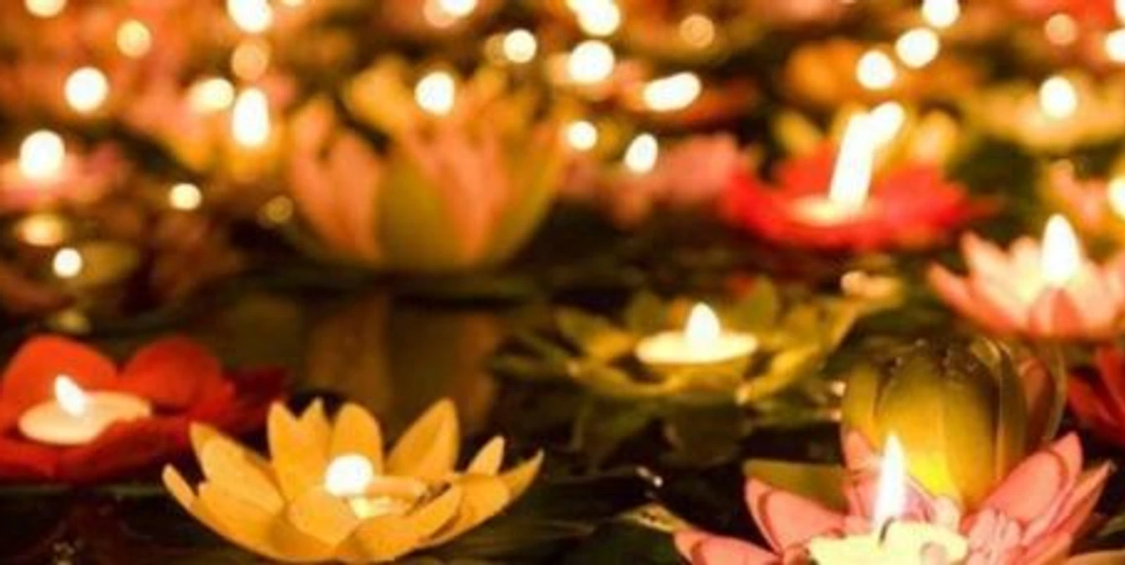 Newsletter décembre 2020