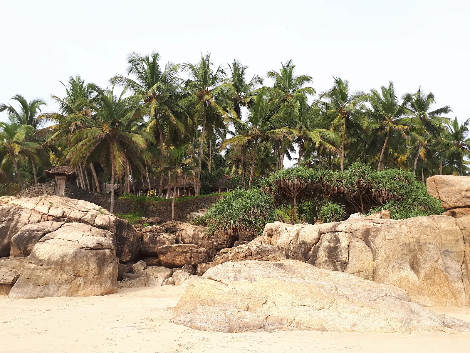 Plage d'Azhimala, Voyage en Inde, Yoga en Inde, Ayurvéda, Inde du sud, Kerala