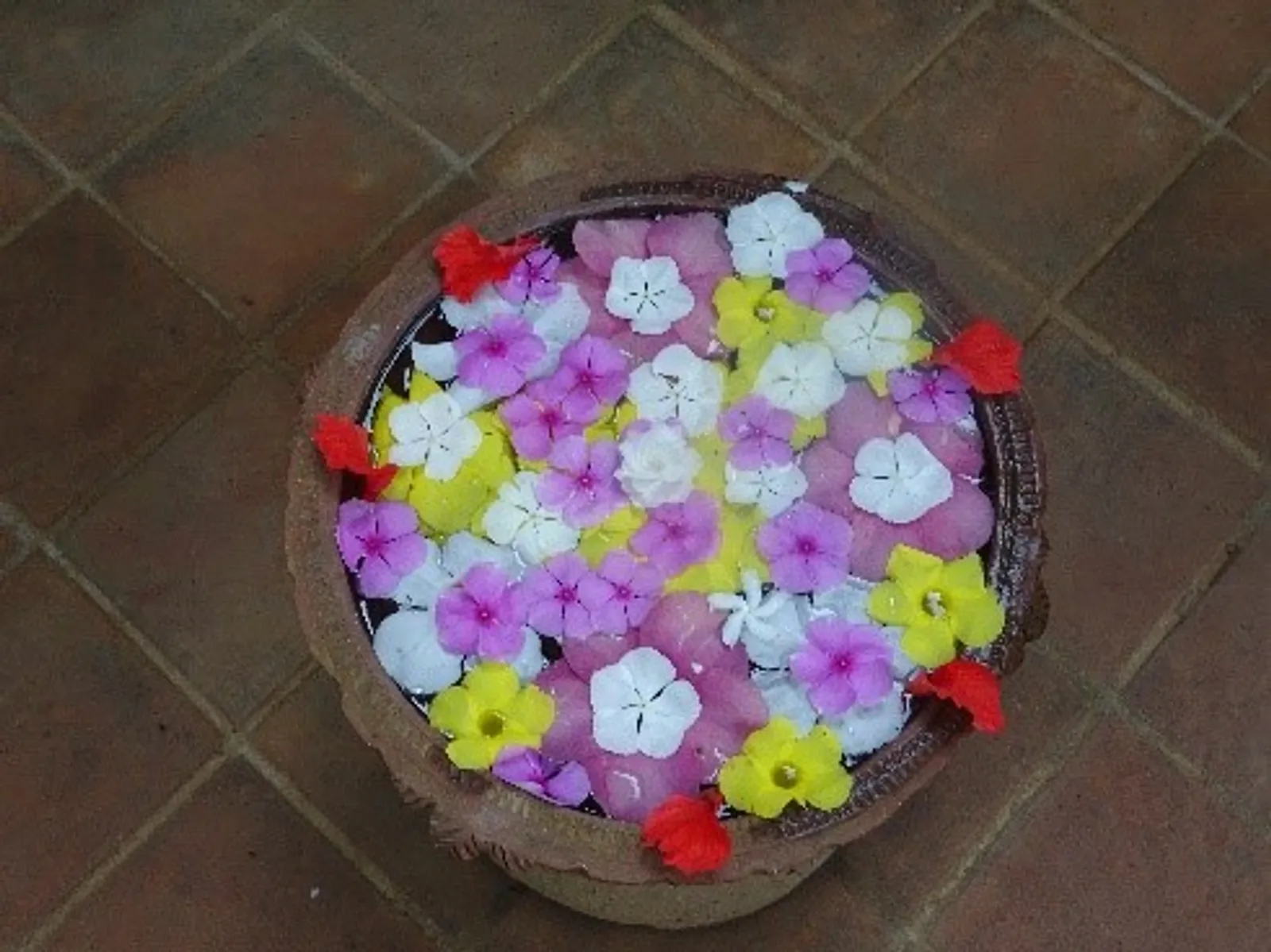 Mandala de fleurs, voyage en Inde, Yoga en Inde, Ayurveda, Massages ayurvédiques, Yoga