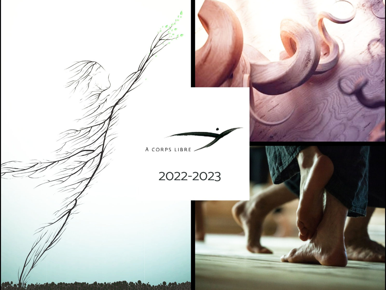 Newsletter saison 2022-2023
