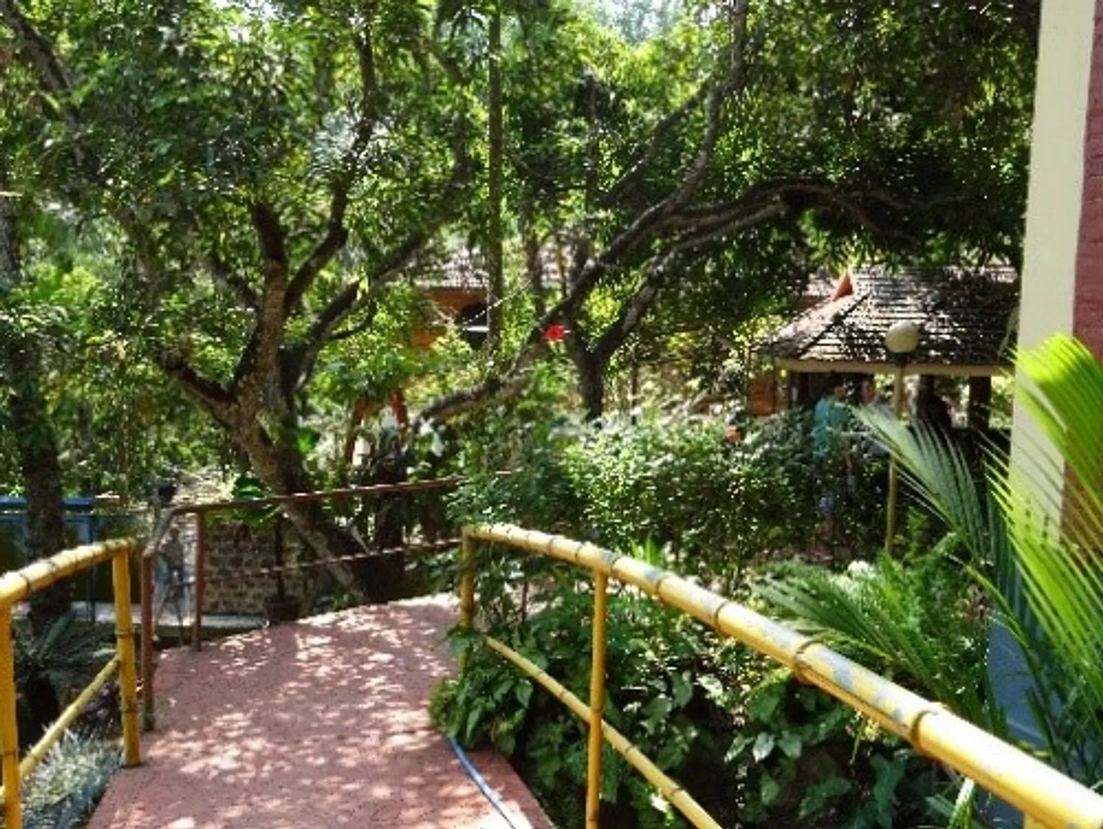 Ashram Sivananda Inde du sud, Voyage en Inde, Yoga, Ayurvéda, Kerala