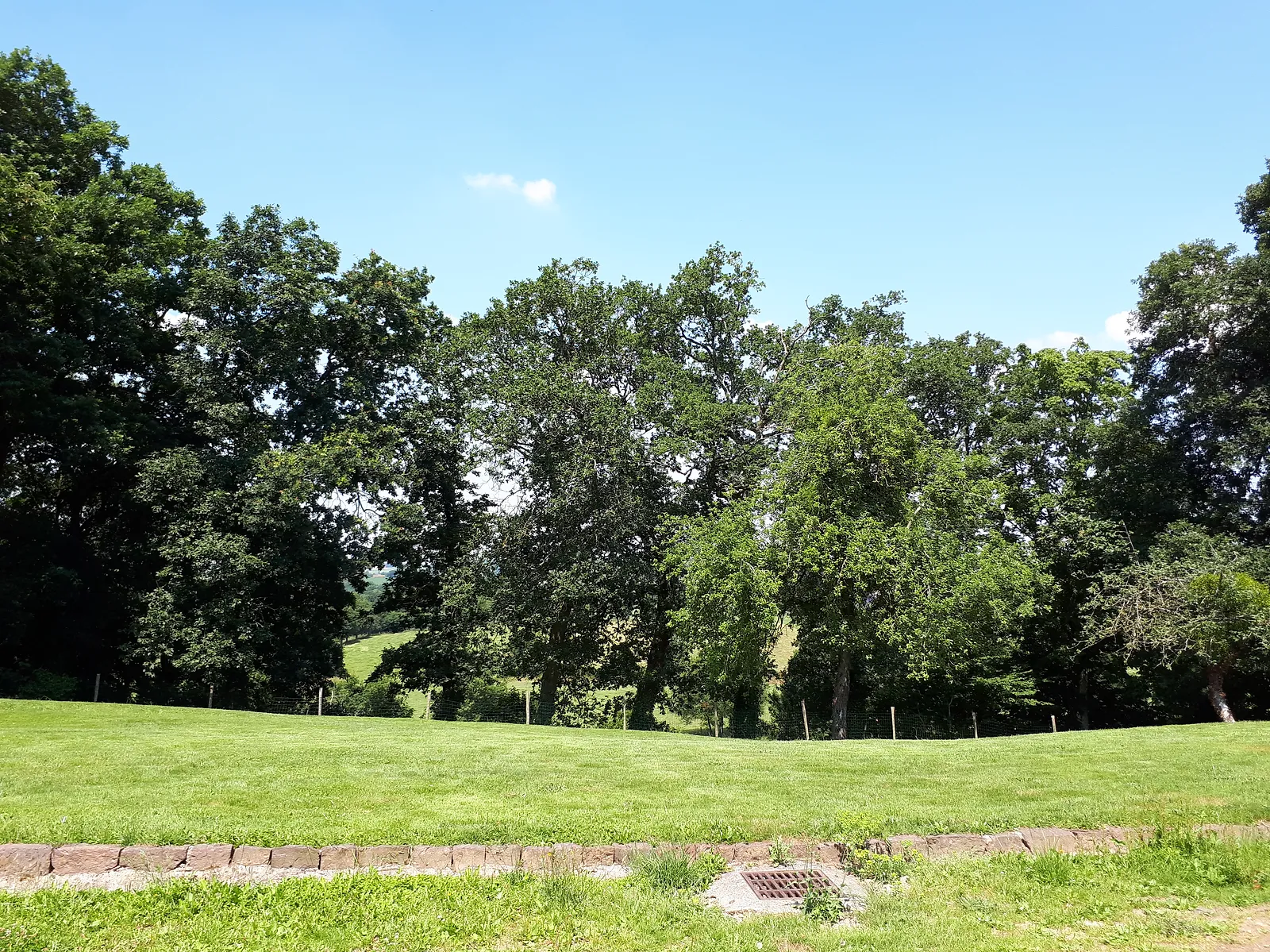 20180707_134228.jpg