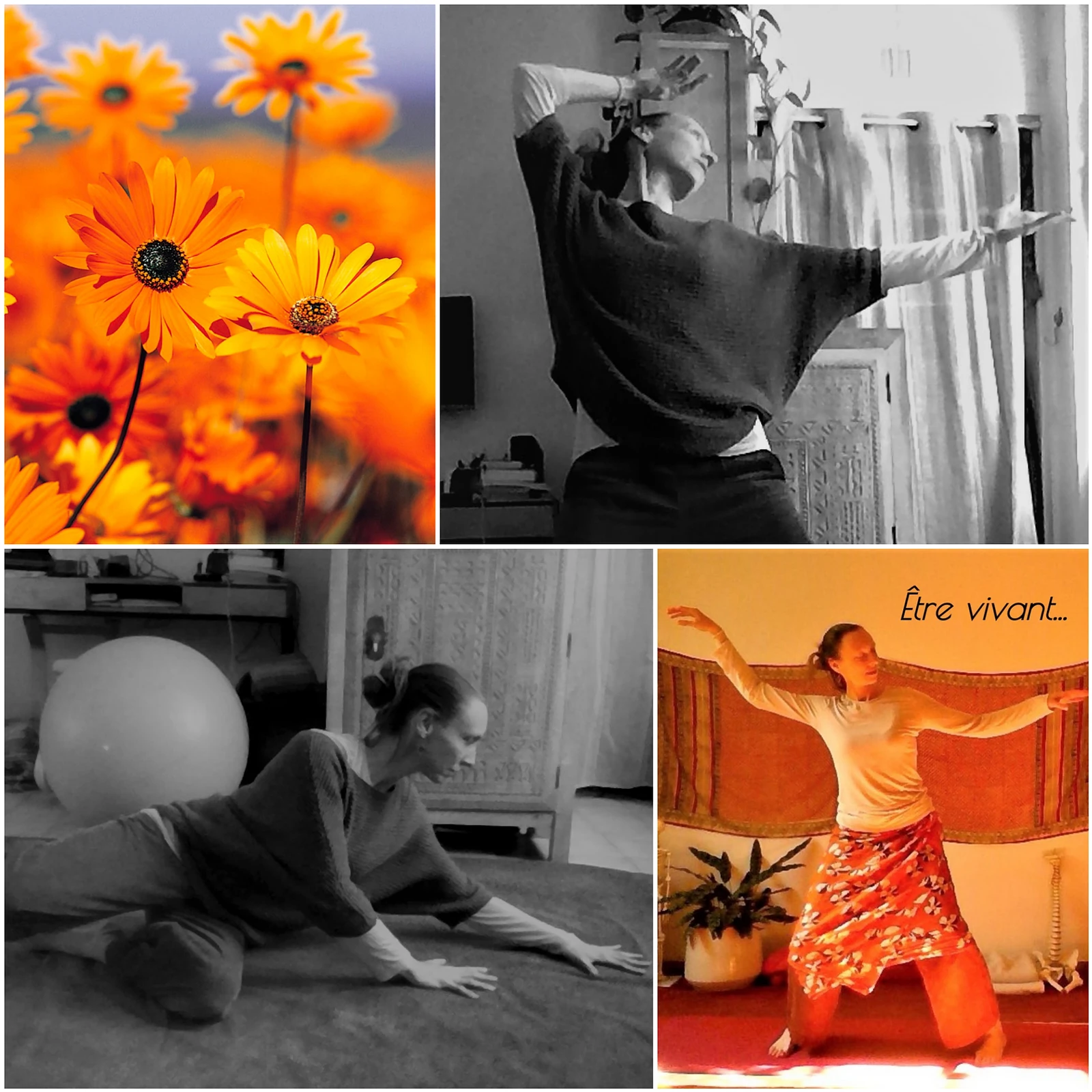 Cours de yoga avec Floria Scialino à Nantes et en ligne