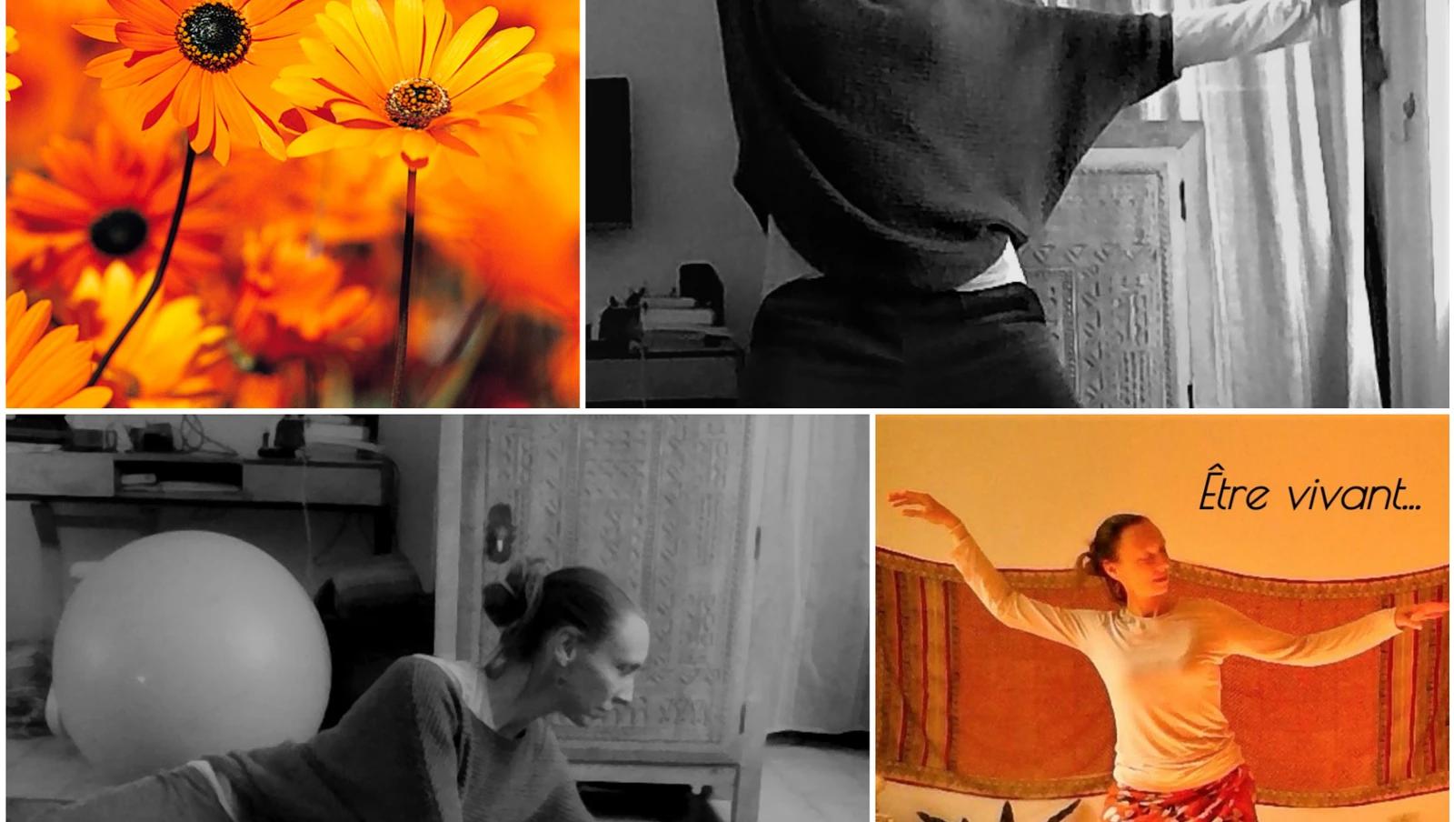 Essayer d'être en Yoga, essayer d'être vivant - Newsletter printemps 2021