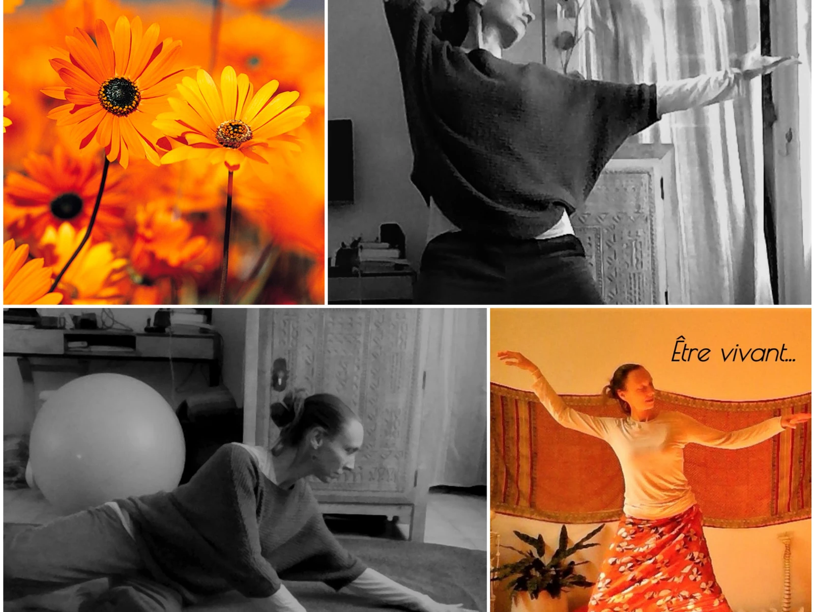 Essayer d'être en Yoga, essayer d'être vivant - Newsletter printemps 2021