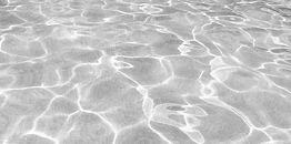 Body Mind Centering | Education somatique par le mouvement, le toucher, la respiration...
