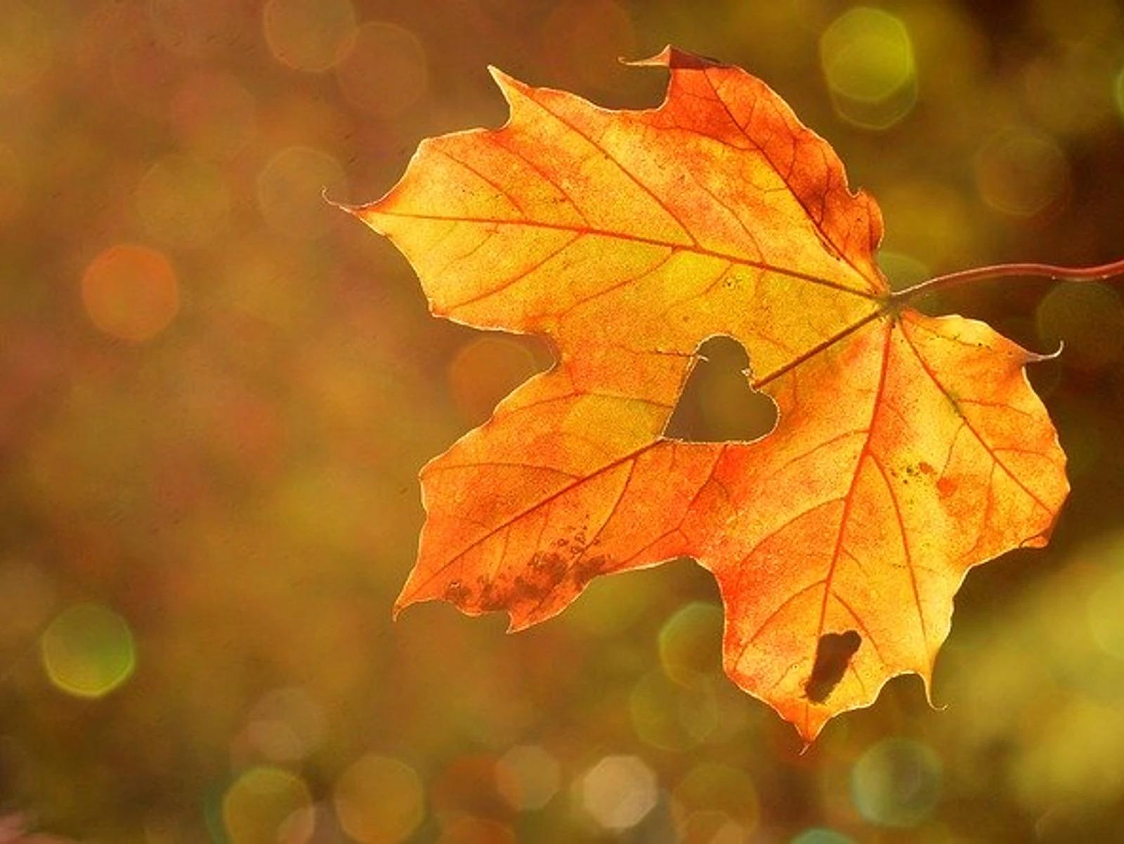 Newsletter octobre 2020