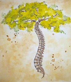 colonne-vertebrale-ekongkar-kubdalini-yoga.jpg