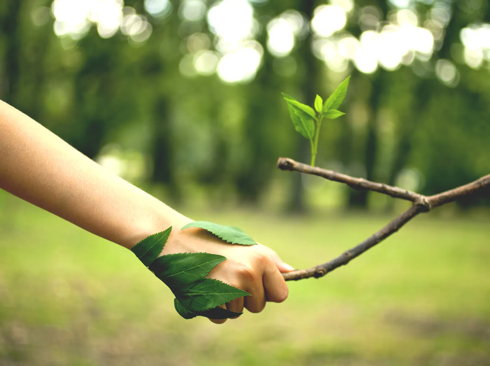 Chemin de conscience et engagement dans le monde | Groupe de pratique et de parole | Ecologie profonde | Nantes