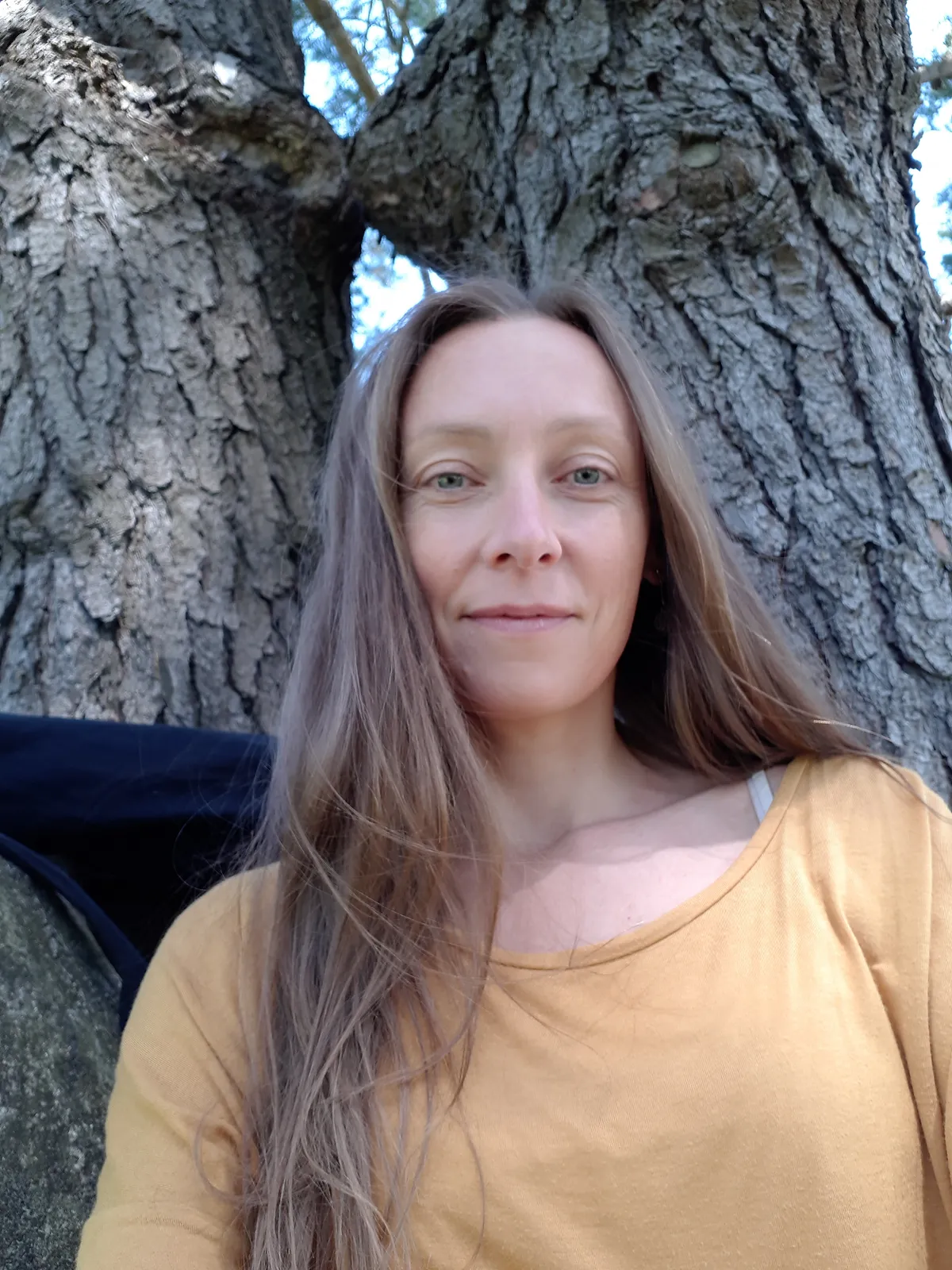 STAGE D'ÉTÉ en forêt de Brocéliande yoga nantes 3