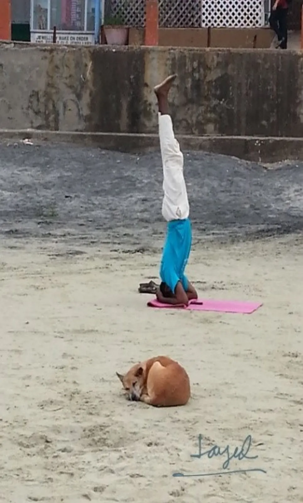 Yoga en Inde, voyage en Inde du sud, yoga et ayurvéda dans le Kerala