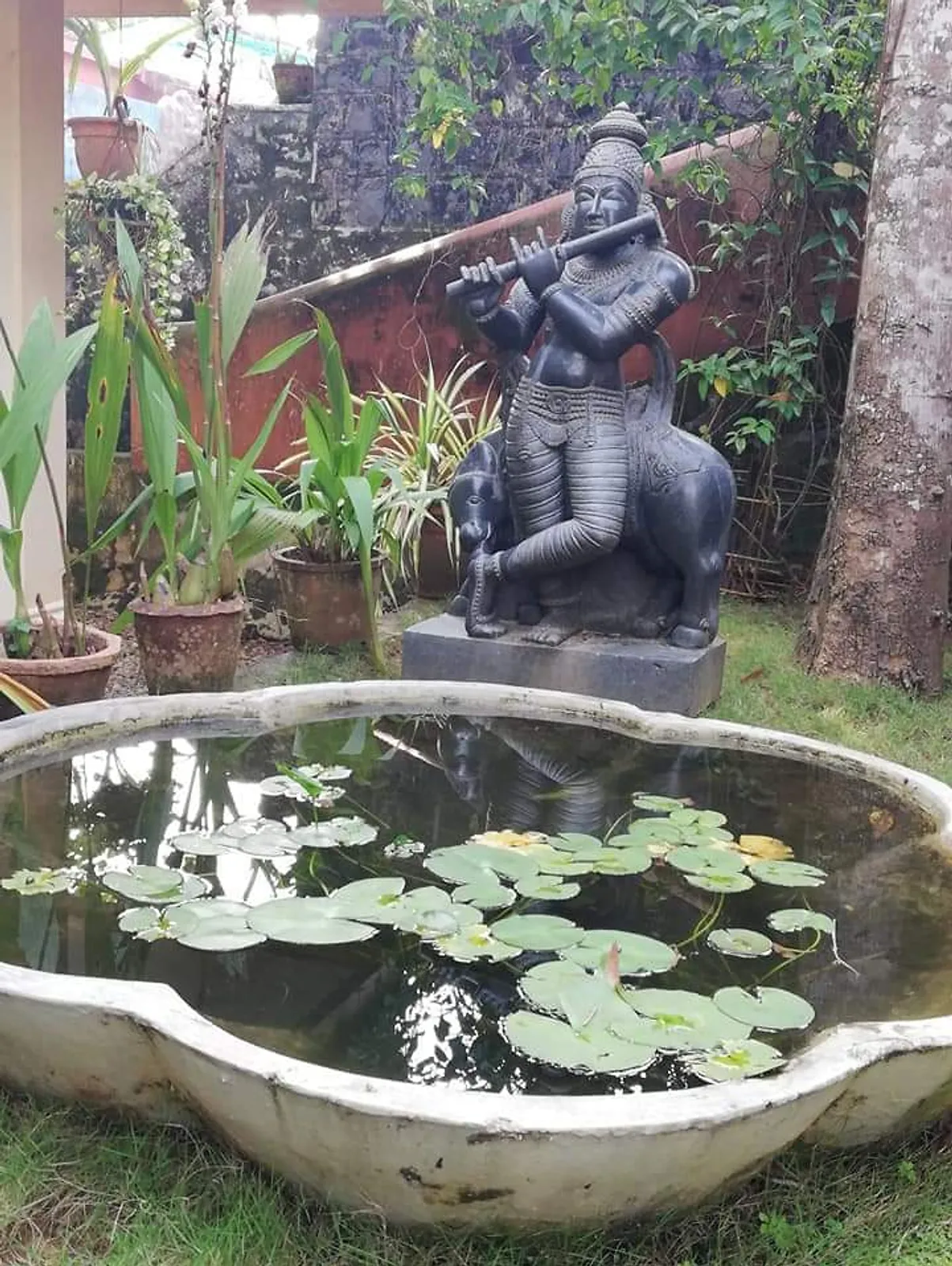 Voyage en Inde, Yoga en Inde, Ayurvéda, Inde du sud, Kerala