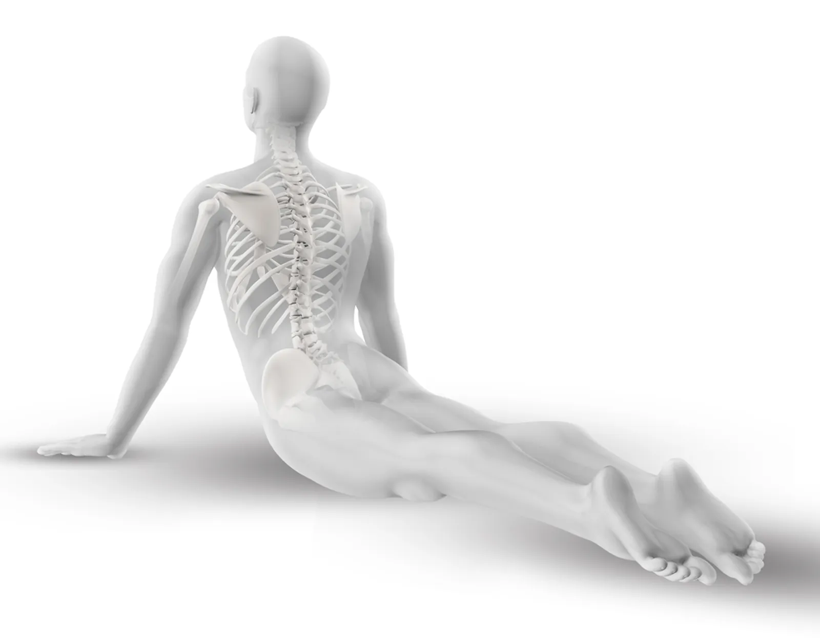 Stage d'antomie et yoga, perfectionnement e yoga à Nantes, comment prépare une posture, points clefs, précautions, adaptations