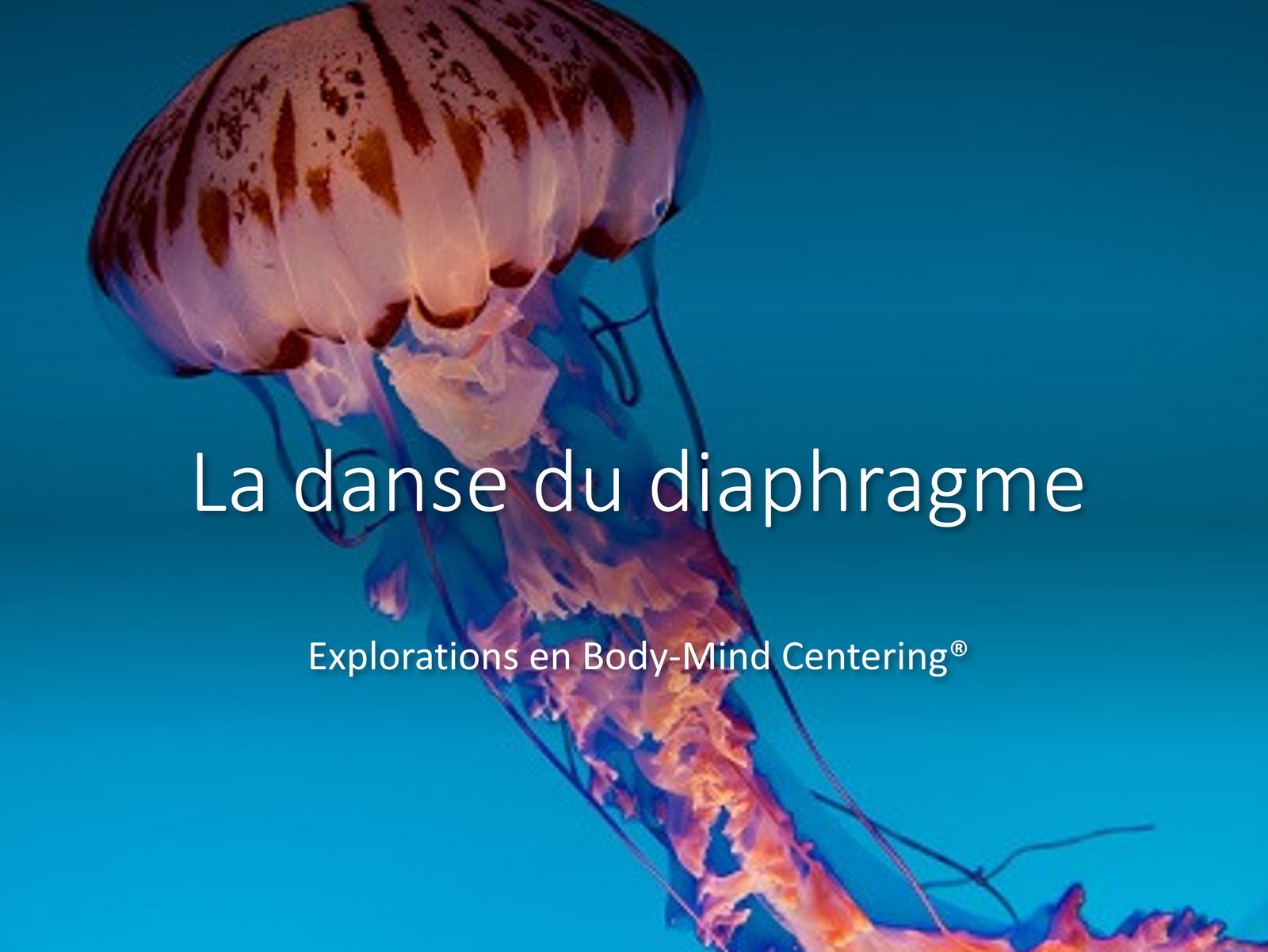 Newsletter avril 2022