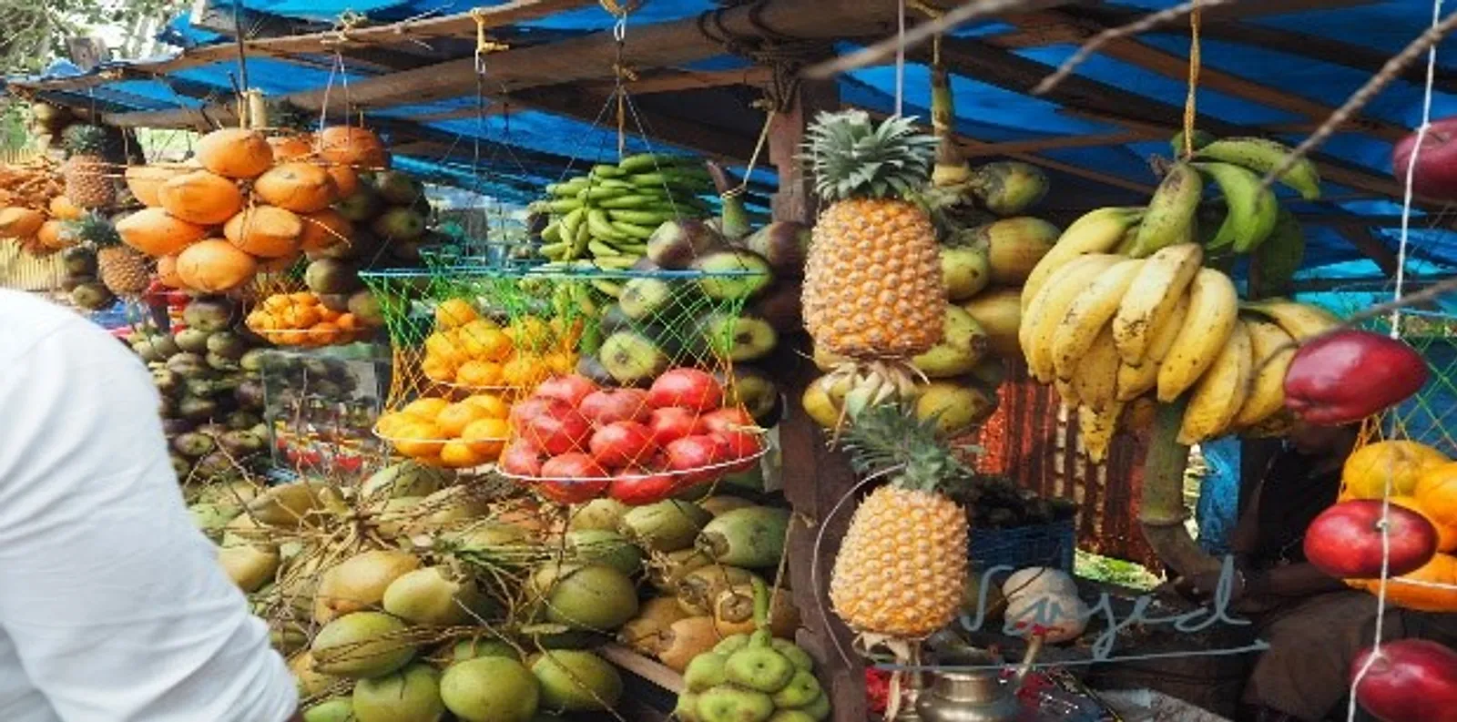 Yoga en Inde, voyage en Inde du sud, yoga et ayurvéda dans le Kerala