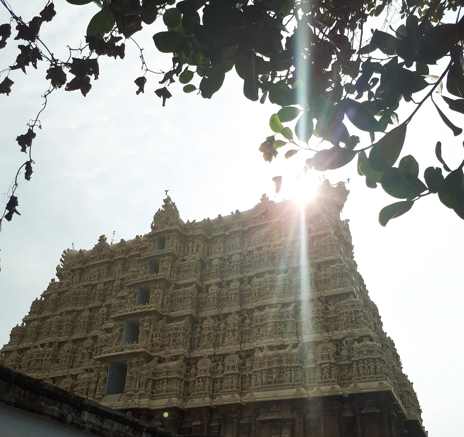 Voyage en Inde, Yoga en Inde, Ayurvéda, Inde du sud, Kerala